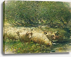 Постер Зюгеь Генрих Стадо овец у ручья в тени деревьев