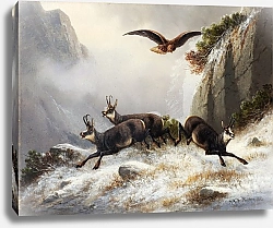 Постер Мюллер Моритц Серна, преследуемая орлом