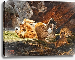 Постер Фриз Ричард Львица с играющими детенышами