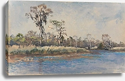 Постер Парсонс Альфред Ручей в Уилмингтоне, Северная Каролина.