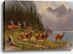 Постер Мюллер Моритц Red Deer on the Lakeside, signed, dated MMüller Munich