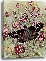 Постер Робер Поль-Андре Игра в кости