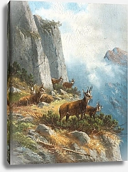 Постер Мюллер Моритц Серна высоко в горах