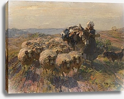 Постер Зюгеь Генрих Стадо овец с пастушкой и ослом на поле