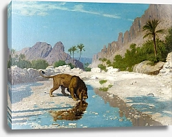 Постер Жером Жан Леон Lion in the Desert 