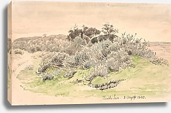 Постер Сковгаард П. С. Landskab med krat