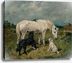 Постер Эммс Джон Вне досягаемости