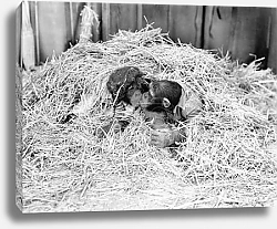 Постер Тепло в объятиях