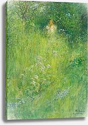 Постер Ларсон Карл Фея