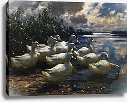 Постер Кестер Александр 11 Уток на утреннем солнце