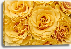 Постер Фон из желтых роз