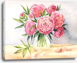 Постер Розовые пионы в вазе, акварельный набросок
