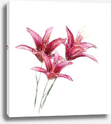 Постер Три красных лилии на белом