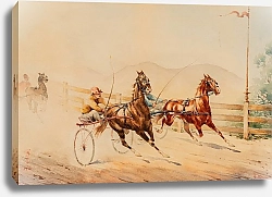 Постер Блум Роберт Фредерик Harness Race