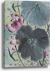 Постер drawing of a blossoming lotus