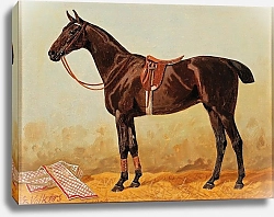 Постер Волкерс Эмиль Браунер в конюшне с седельным одеялом