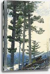 Постер Хомер Уинслоу Старые поселенцы