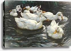 Постер Кестер Александр Шесть уток в воде,