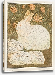 Постер Хойтема Тео Кролики