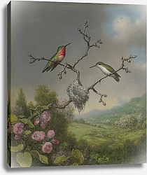 Постер Хид Мартин Джонсон Hummingbirds and apple blossoms