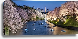Постер Япония, Токио. Цветущая сакура по берегам канала
