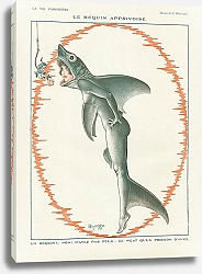 Постер Le Requin Apprivoise 1