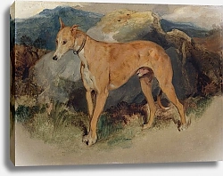 Постер Лэндсир Эдвин Дирхаунд