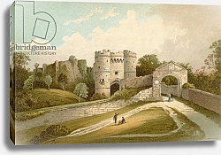 Постер Школа: Английская 19в. Carisbrooke Castle--Isle of Wight