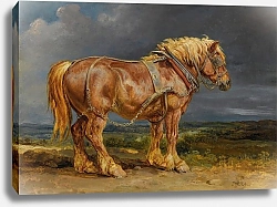 Постер Уорд Джеймс Поохотьтесь на слона-скакуна из Графства Шир в Обширном ландшафте