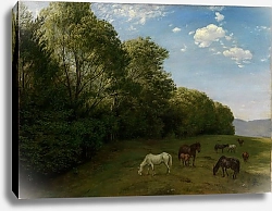 Постер Тома Ханс Пейзаж с пасущимися лошадьми