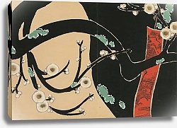 Постер Секка Камисака Слива