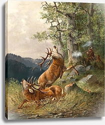 Постер Мюллер Моритц Охота на оленей