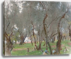 Постер Серджент Джон Оливковая роща