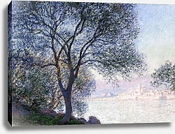 Постер Моне Клод (Claude Monet) Antibes seen from the Salis, 1888