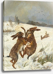 Постер Дейкер Карл Заяц