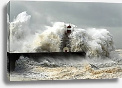 Постер Шторм 7