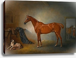 Постер Фернли Джон 