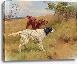 Постер Блинк Томас Setters, 2001