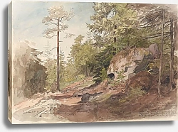 Постер Гуде Ханс Лесной массив, Сарабраатен