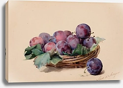 Постер Шривер Луи Basket of Plums