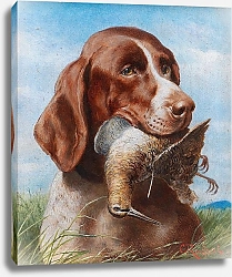 Постер Райхерт Карл Гундог с бекасом