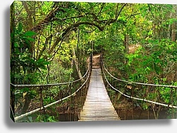 Постер Тайланд, национальный парк Khao Yai 