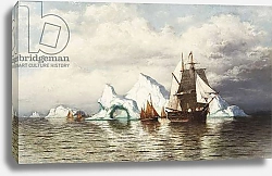 Постер Брэдфорд Уильям Among the Icebergs, Coast in Labrador,