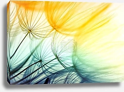 Постер Одуванчик и солнечные лучи