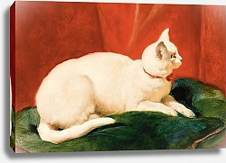 Постер Херринг Джон Белая кошка