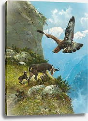 Постер Мюллер Моритц Гамс и Беркут