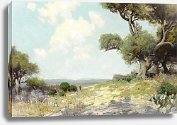 Постер Ондердонк Юлиан In the Hills — Southwest Texas