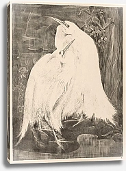 Постер Хойтема Тео Две белые цапли