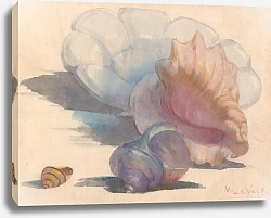 Постер Валк Мориц Drie schelpen bij een Delftse plooischotel