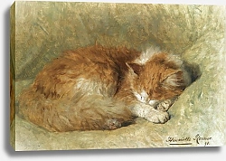 Постер Роннер-Нип Генриетта A sleeping cat